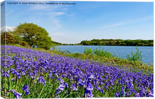 bluebells in cornwall Canvas Print by Kevin Britland