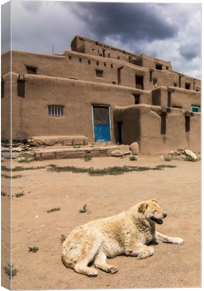 Dog in Taos Pueblo, New Mexico Canvas Print by Luc Novovitch