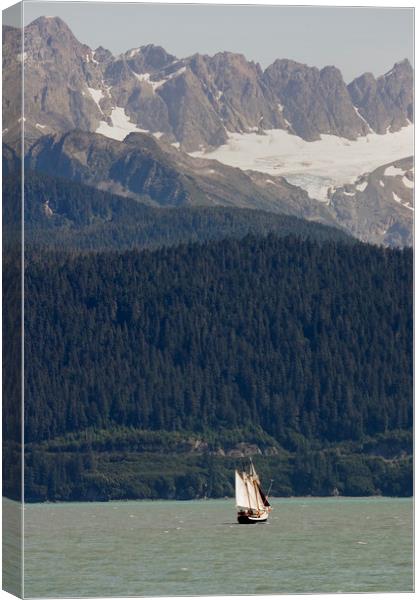 Sailing in Resurrection Bay Canvas Print by Luc Novovitch