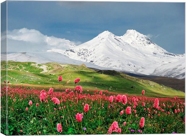 Switzerland mountains on spring time Canvas Print by Daniel Kesh