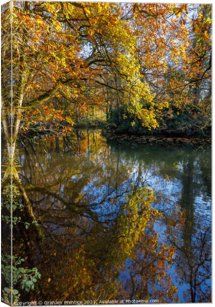 Reflections of Autumn Foliage Canvas Print by Graham Prentice