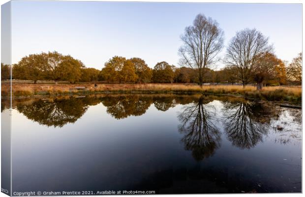 Richmond Park Morning Canvas Print by Graham Prentice