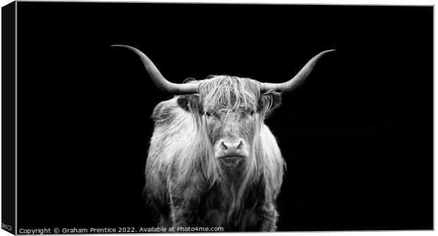 Highland Cow - Monochrome Canvas Print by Graham Prentice