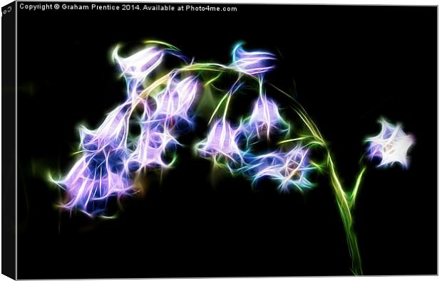 Fractal Bluebell Canvas Print by Graham Prentice