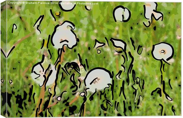 Abstract Dandelion Field Canvas Print by Graham Prentice