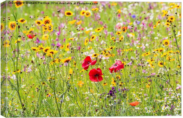 Summer Meadow Flowers Canvas Print by Graham Prentice