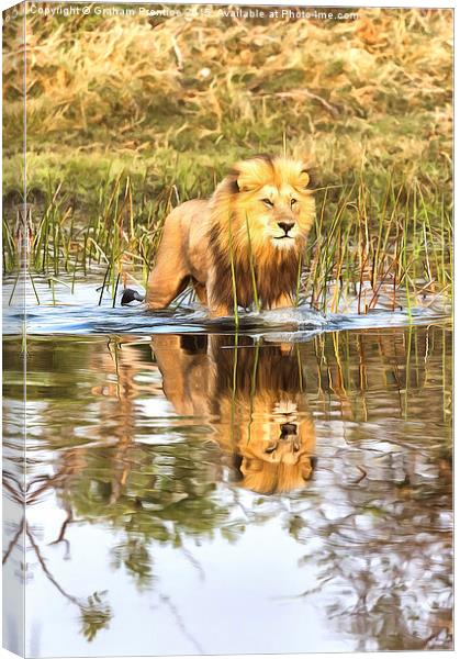 Lion in River with Reflection Canvas Print by Graham Prentice