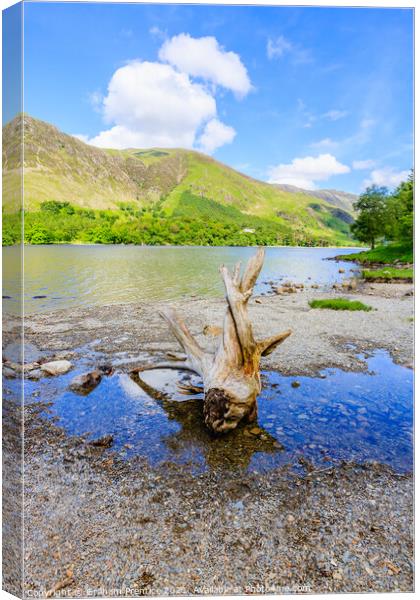 Buttermere Panorama With Driftwood Canvas Print by Graham Prentice