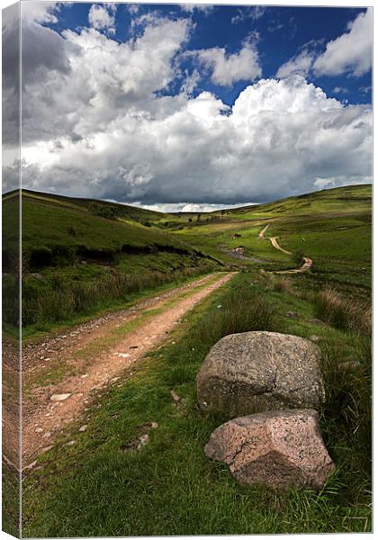 Cheviot Hills Canvas Print by Richard Armstrong