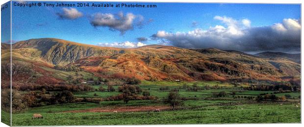 St. Johns-In-The-Vale, Cumbria. Canvas Print by Tony Johnson