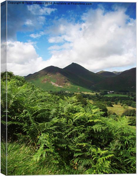Causey Pike From Catbells Canvas Print by Tony Johnson