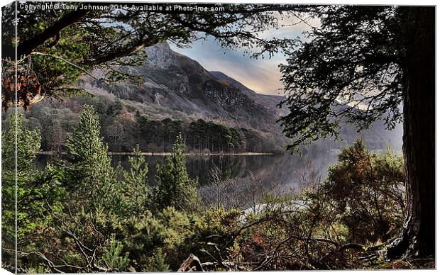  Derwentwater Through The Trees Canvas Print by Tony Johnson