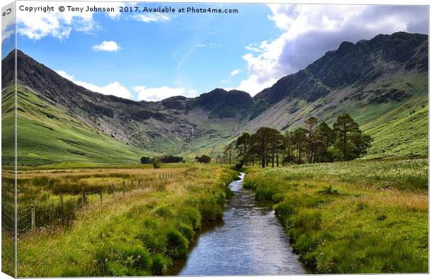 Haystacks From Buttermere Valley Canvas Print by Tony Johnson