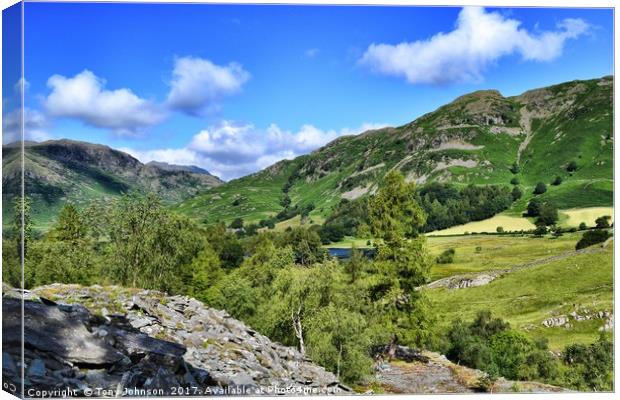 The Little Langdale Valley Canvas Print by Tony Johnson