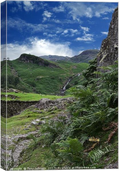 Easedale Valley Canvas Print by Tony Johnson