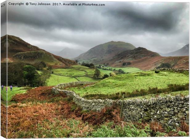 Hallin Fell  Canvas Print by Tony Johnson