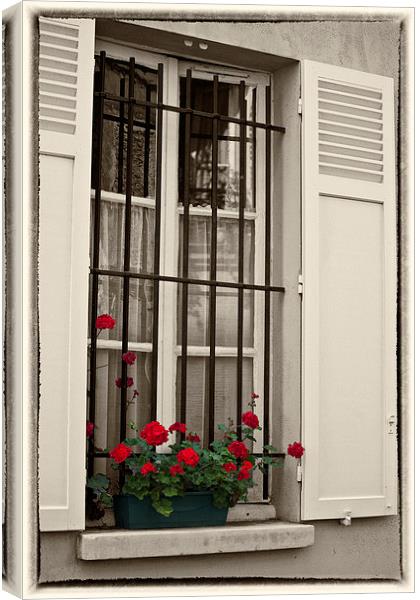 Paris window box Canvas Print by Sheila Smart