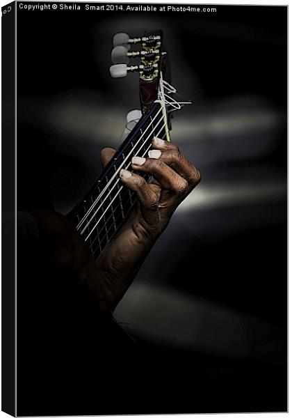 Hand of a Spanish Guitarist Canvas Print by Sheila Smart