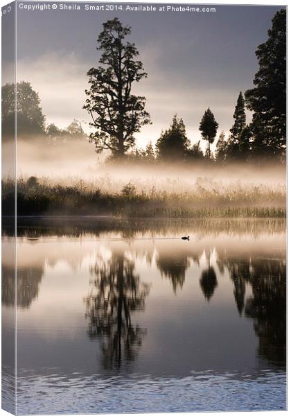 Mist over Lake Matheson Canvas Print by Sheila Smart