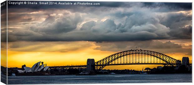 Spectacular Sydney Harbour sunset Canvas Print by Sheila Smart
