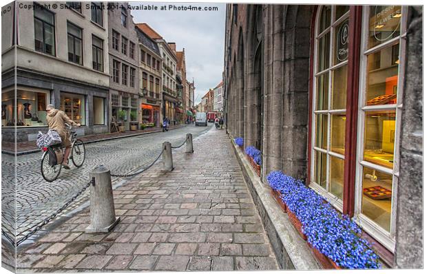 Cobbled street in Brugge Canvas Print by Sheila Smart