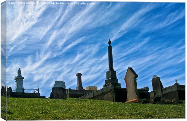Cemetery at Shoalhaven Canvas Print by Sheila Smart