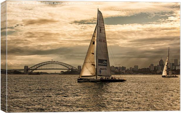  Yachts on Sydney Harbour Canvas Print by Sheila Smart