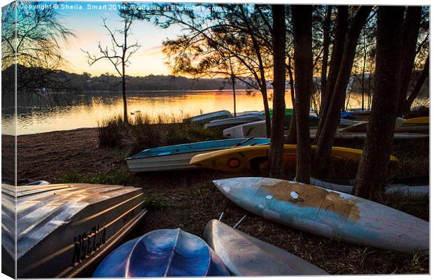  Boats at Narrabeen Lake Canvas Print by Sheila Smart