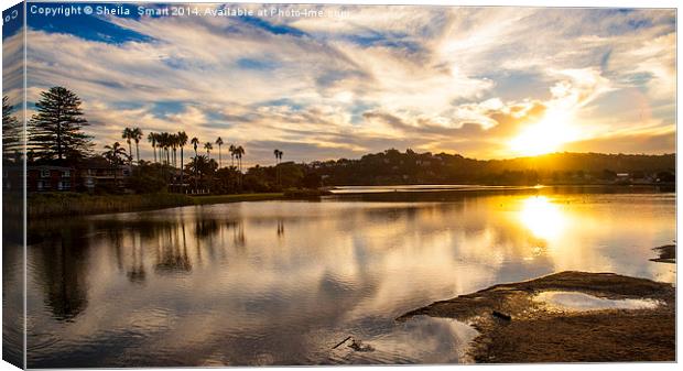  Sunset at Narrabeen Lagoon Canvas Print by Sheila Smart