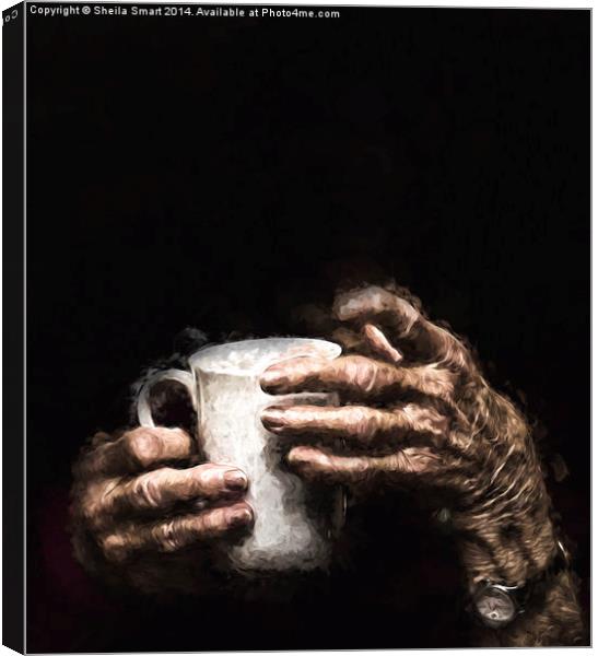  Aged hands holding a mug Canvas Print by Sheila Smart