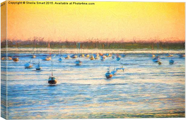  Yachts moored in Thames Estuary Canvas Print by Sheila Smart