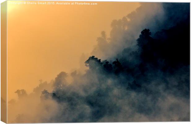  Mist in trees at Lake Matheson Canvas Print by Sheila Smart