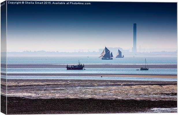  Thames sailing barges at Southend on Sea Canvas Print by Sheila Smart