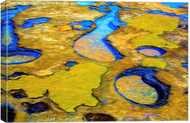 Rockshelf water pools Canvas Print by Sheila Smart