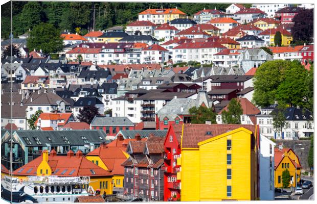 Bergen hillside Canvas Print by Sheila Smart