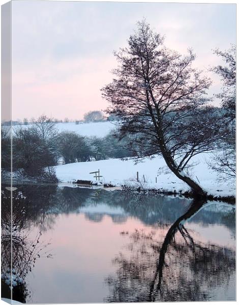 Reflective Wintery Tree Canvas Print by Liz Watson