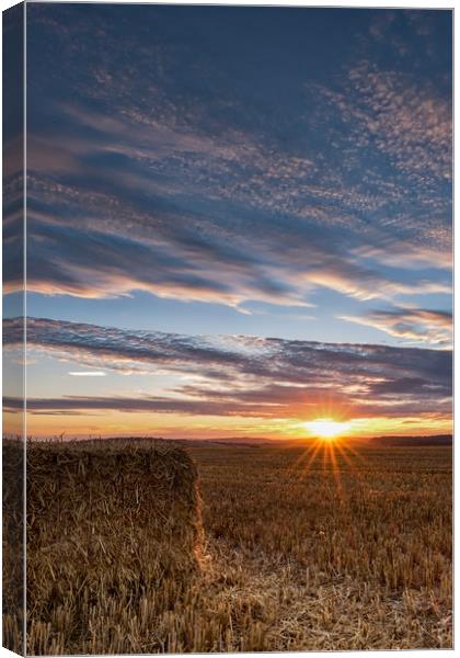 Haymaking Sunset Canvas Print by LensLight Traveler