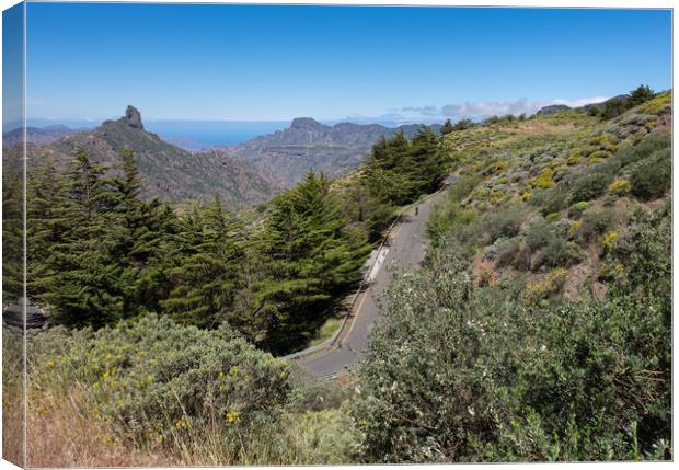 Winding Road In The Canary Islands Canvas Print by LensLight Traveler