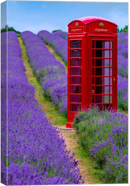 The Surreal Telephone Box Canvas Print by LensLight Traveler