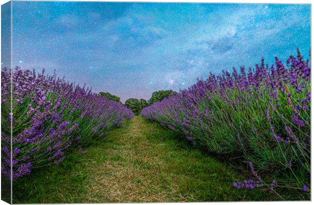 Heavens and Earth Canvas Print by LensLight Traveler