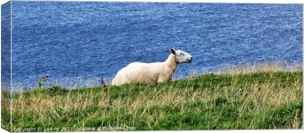 A sheep standing on top of a lush green field Canvas Print by Lisa PB