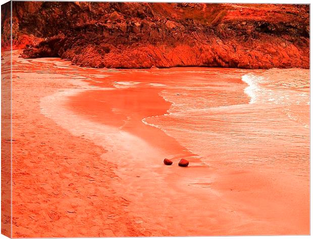 Two Stones at Kynance Cove Canvas Print by Lisa PB