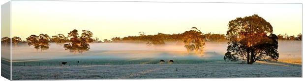 Bowral, NSW Australia, Sun Rise Canvas Print by phil wood