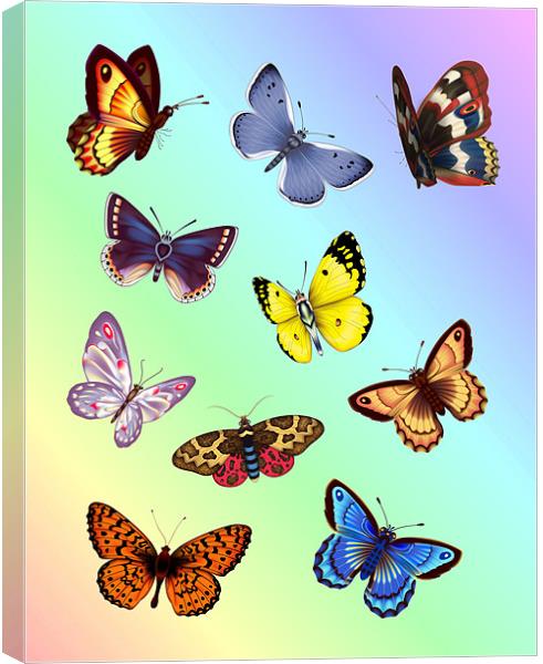 Bright Butterflies Canvas Print by Lidiya Drabchuk