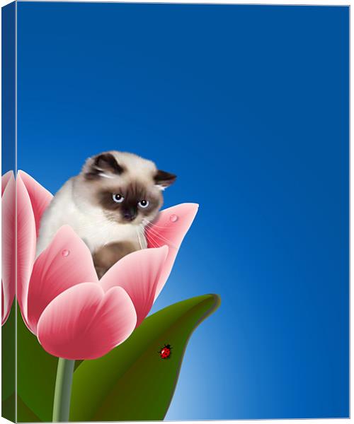 Cat In Tulip Canvas Print by Lidiya Drabchuk