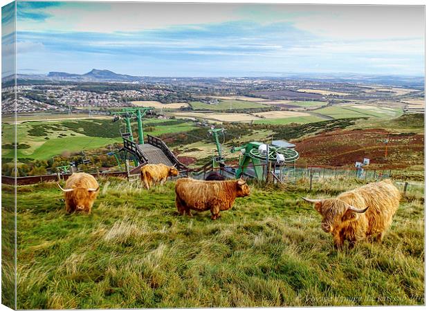  Coos with a view Canvas Print by Paul Masterton