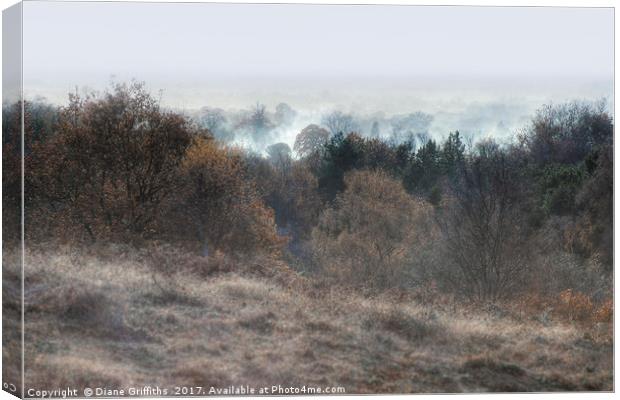 Cannock Chase Canvas Print by Diane Griffiths