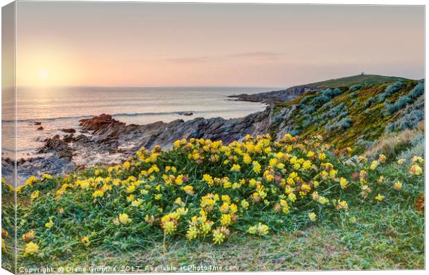Towan Headland and Little Fistral Canvas Print by Diane Griffiths