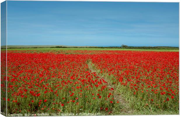 Poppies on West Pentire Canvas Print by Diane Griffiths