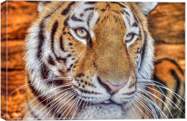 Tiger Portrait Canvas Print by Diane Griffiths